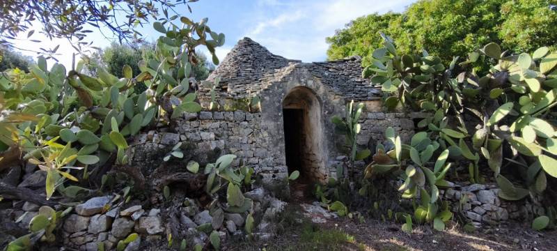 Rustico Fasano, Fasano