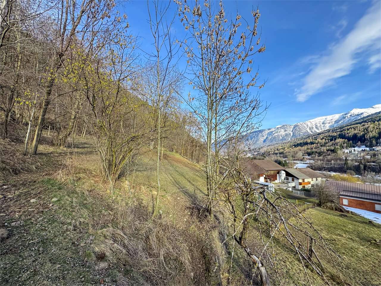  - foto 4