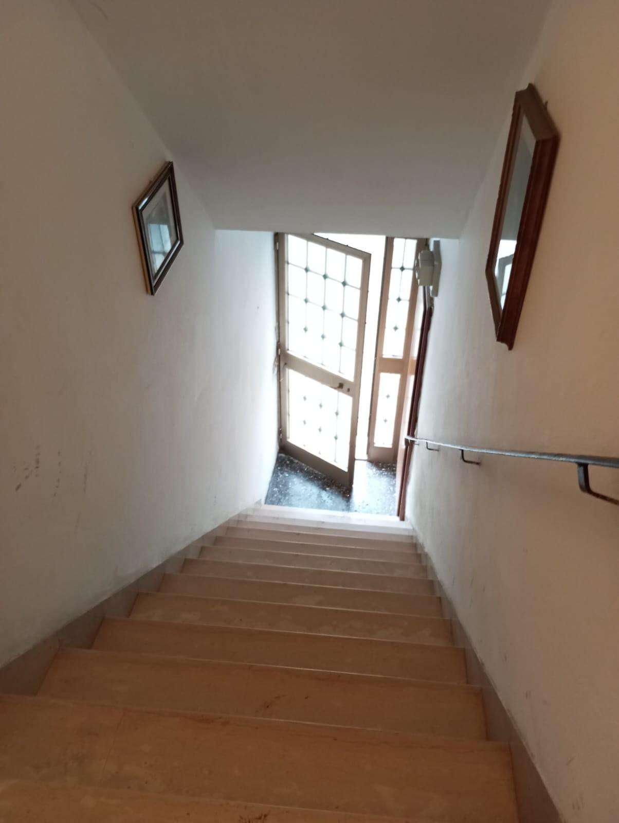  - foto 11