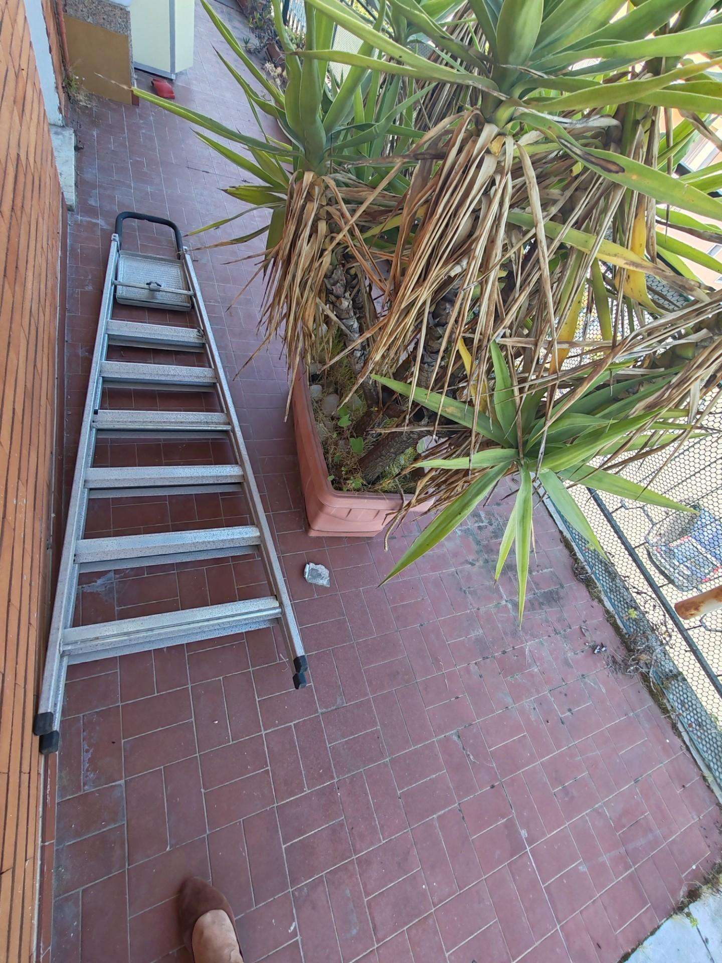  - foto 13