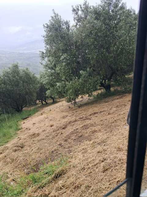  - foto 10