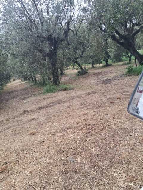  - foto 11