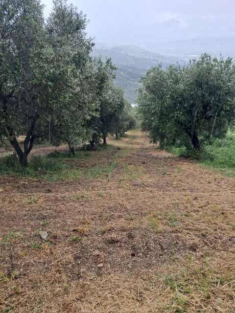  - foto 12