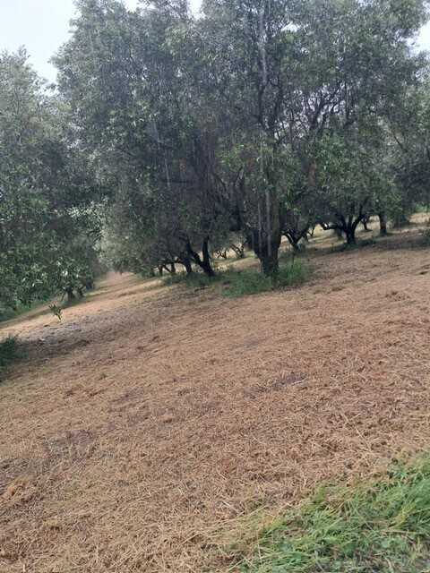  - foto 8
