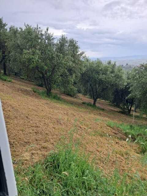  - foto 9
