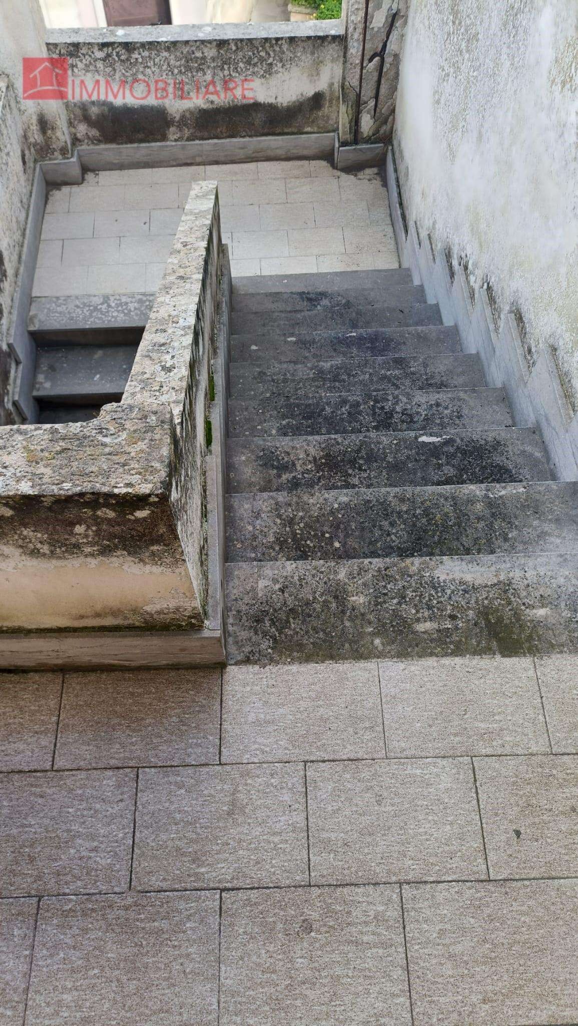  - foto 11