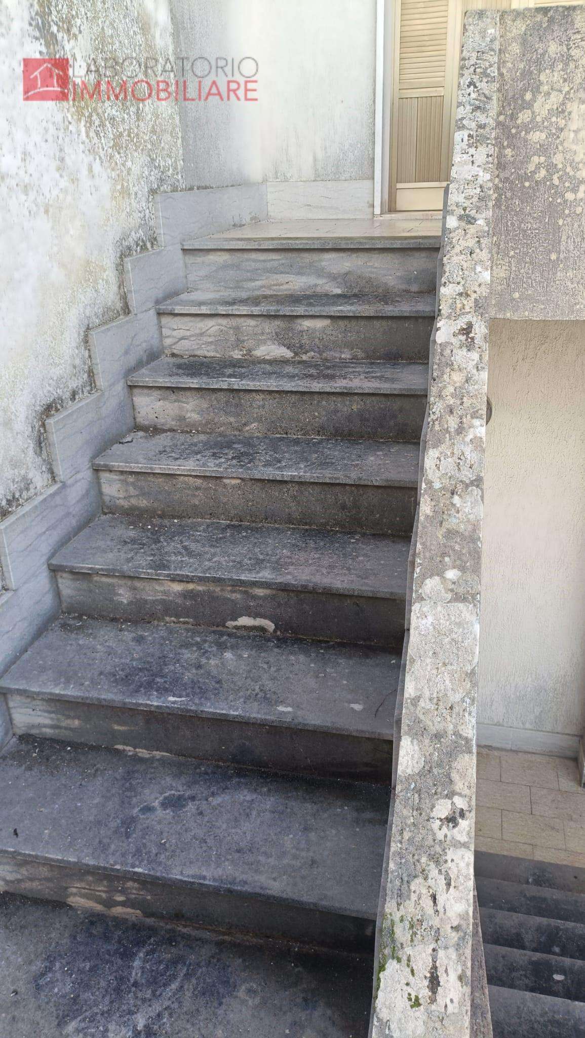  - foto 14