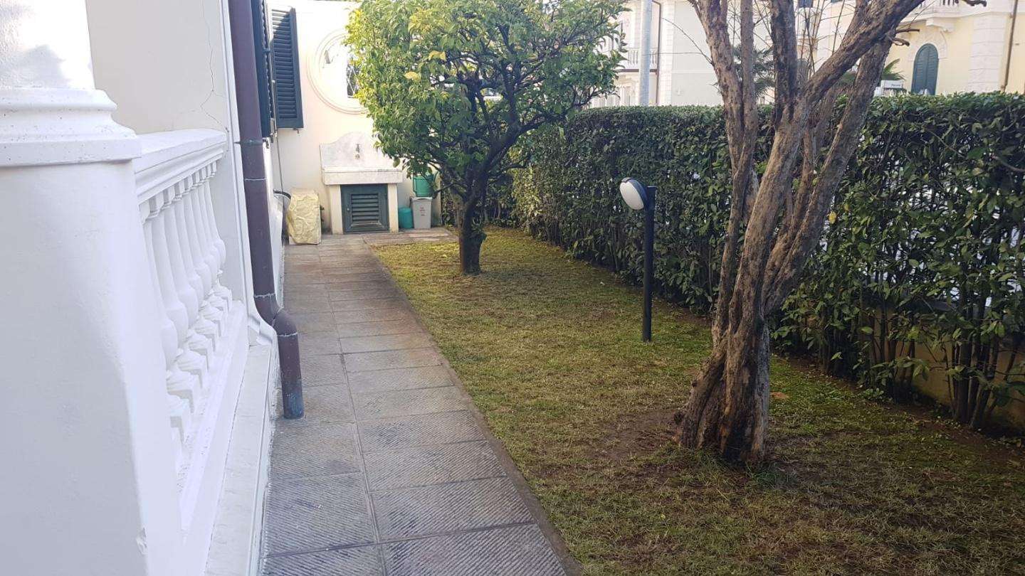  - foto 19