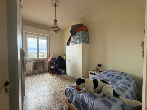  - foto 14