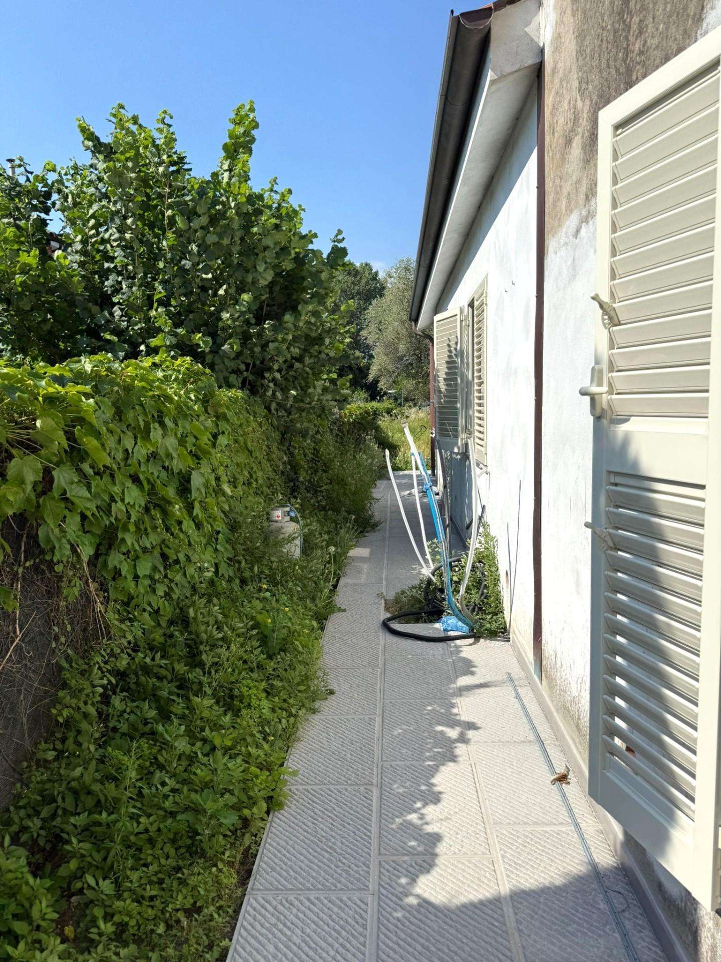  - foto 21