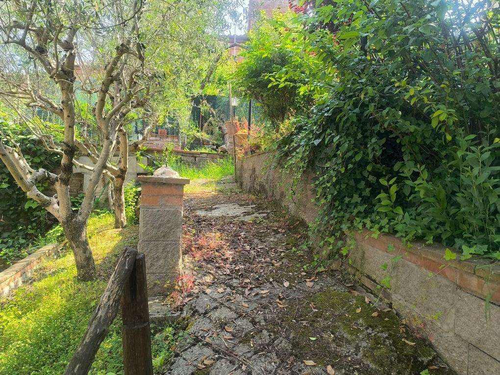  - foto 13