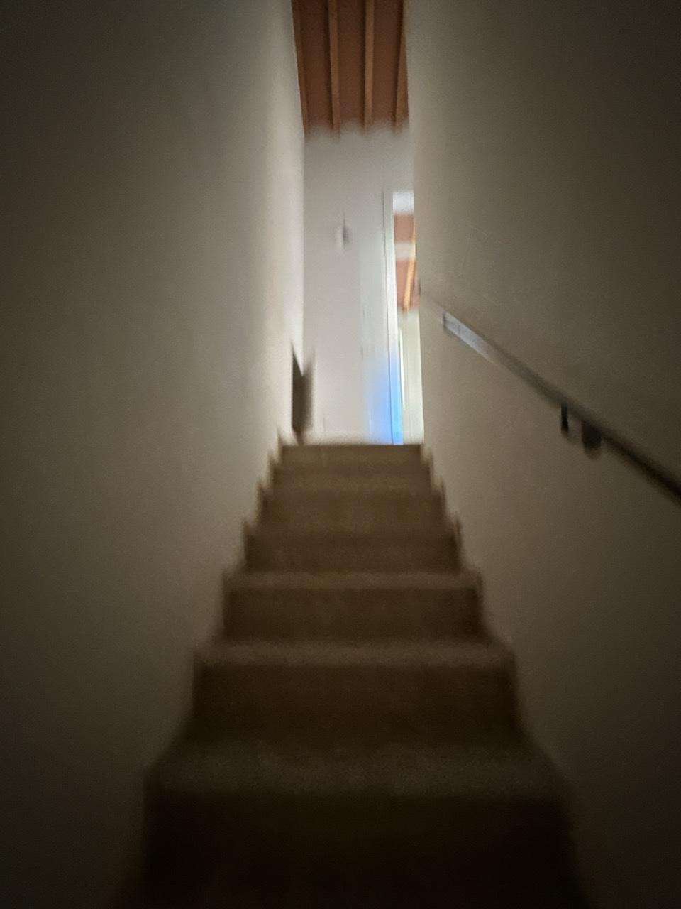  - foto 37