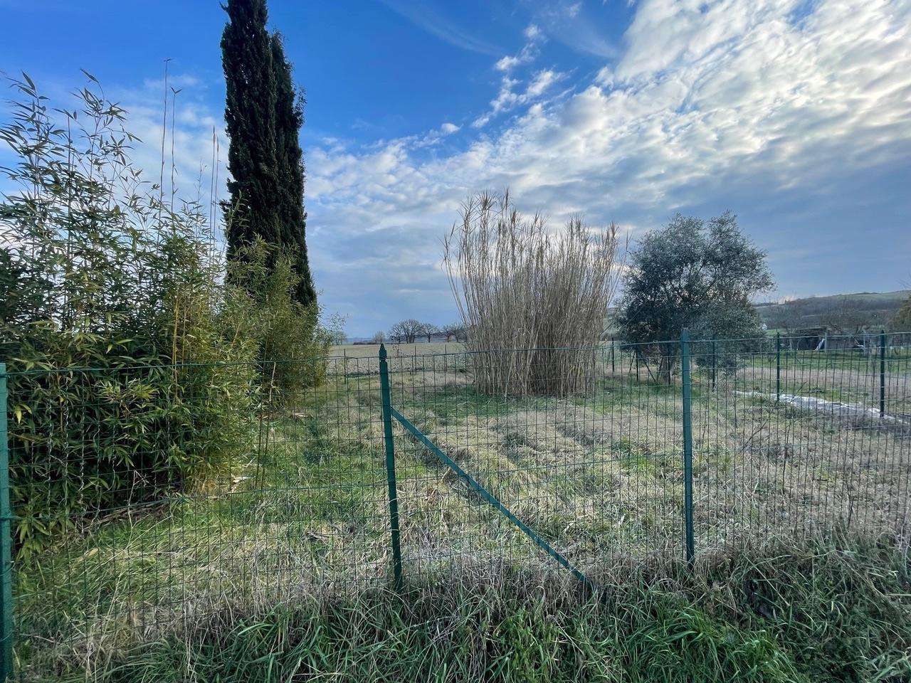  - foto 36