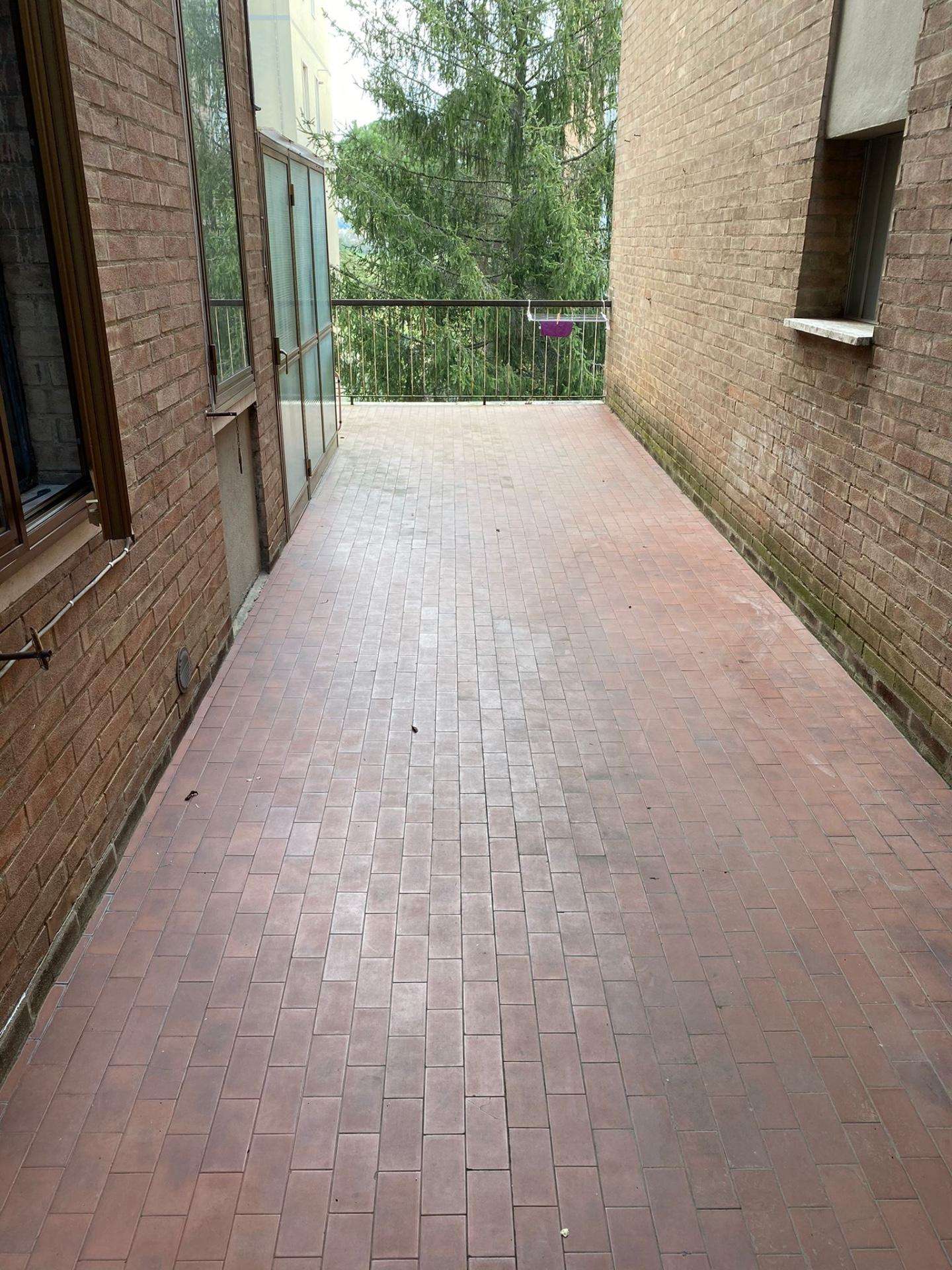  - foto 11