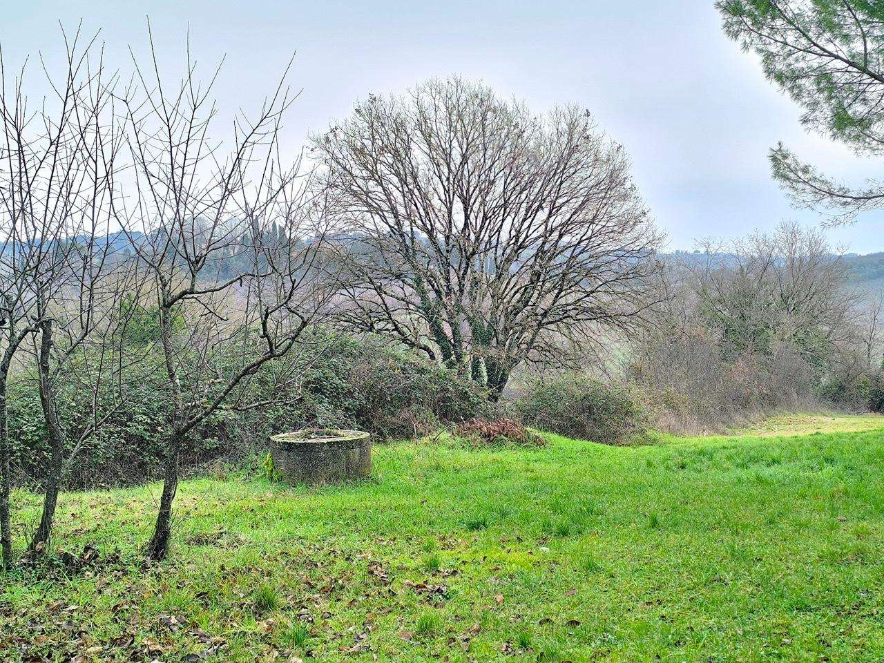  - foto 15