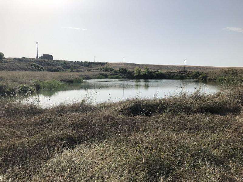  - foto 3