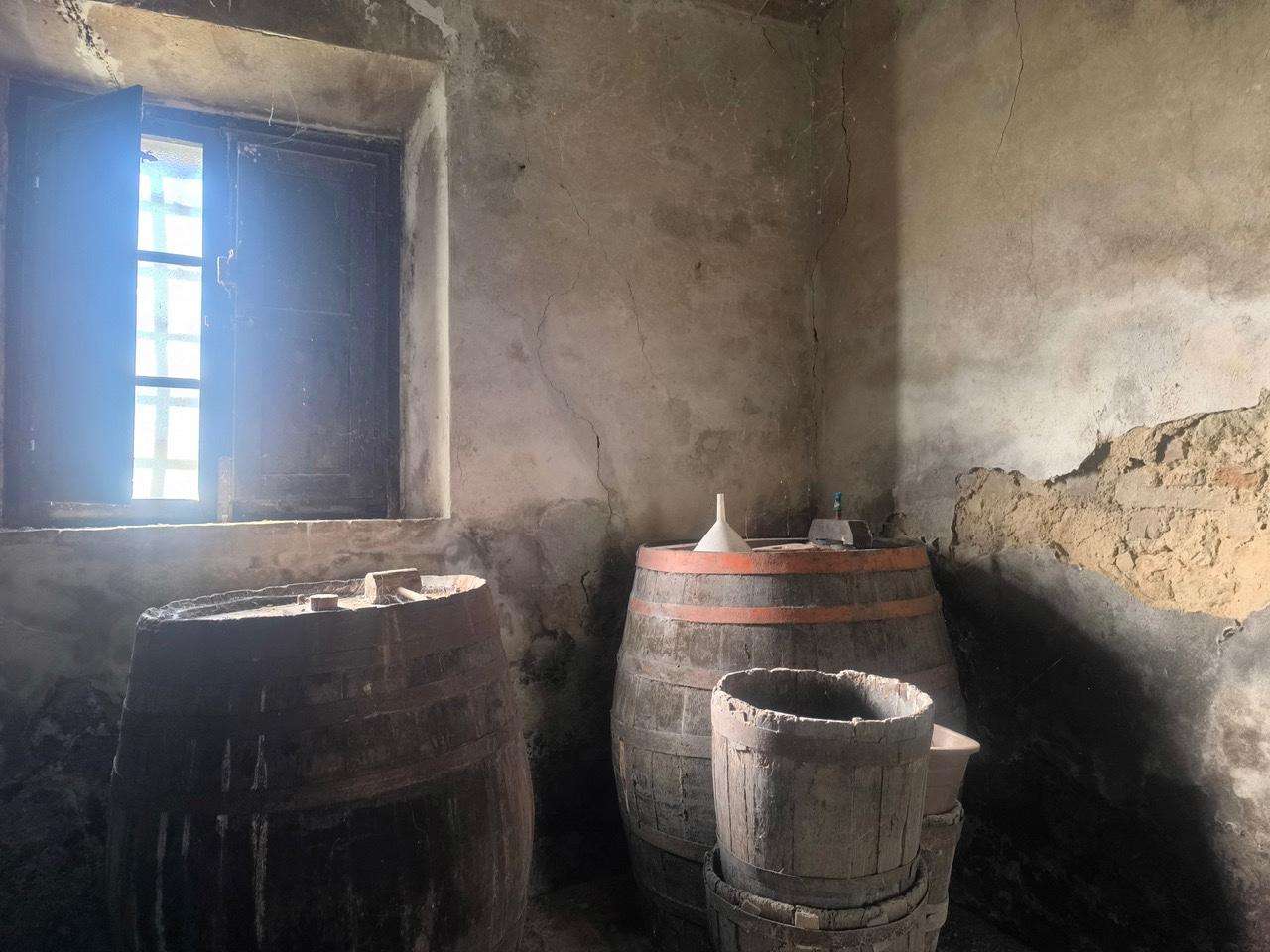  - foto 19