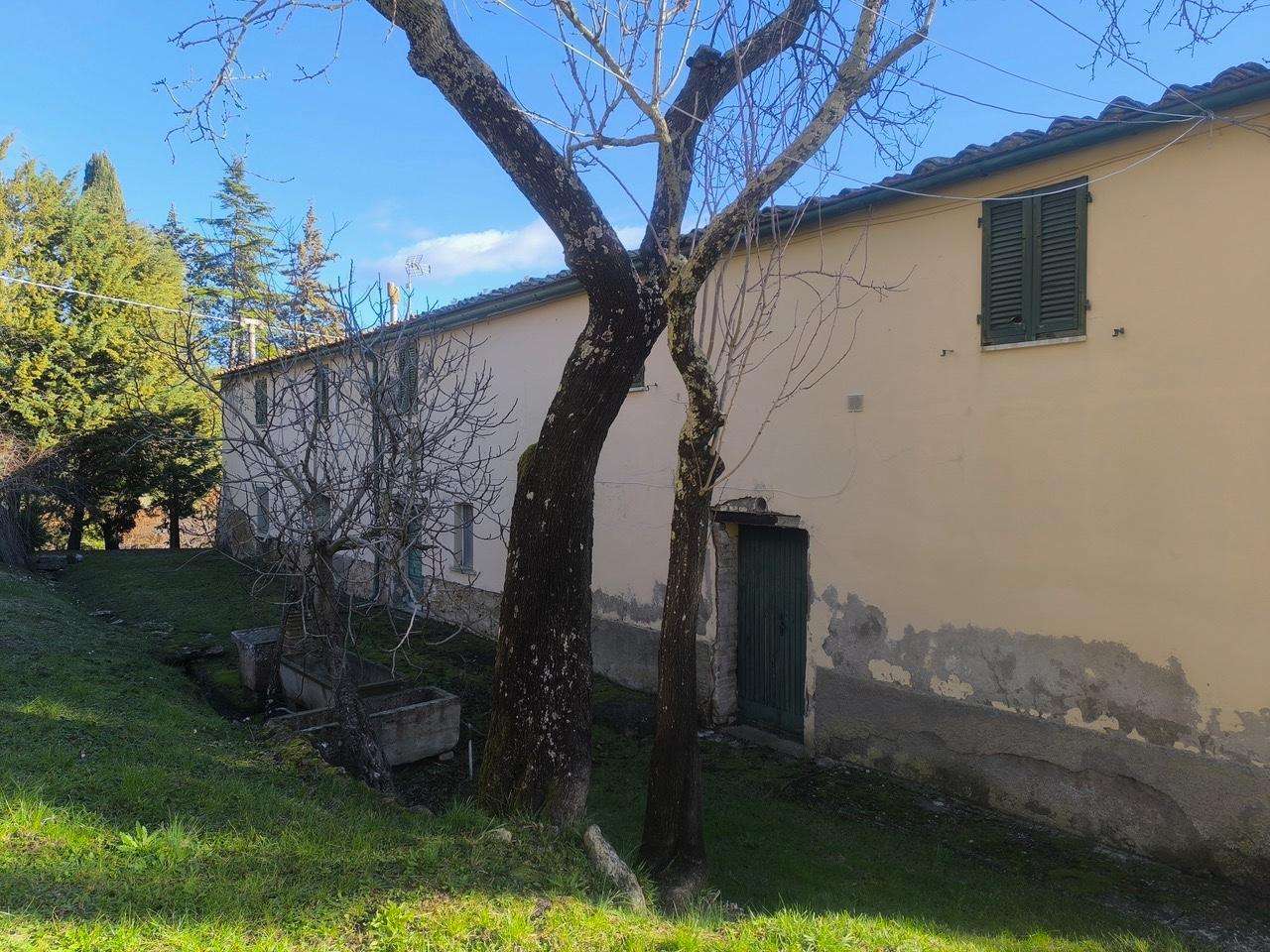  - foto 27