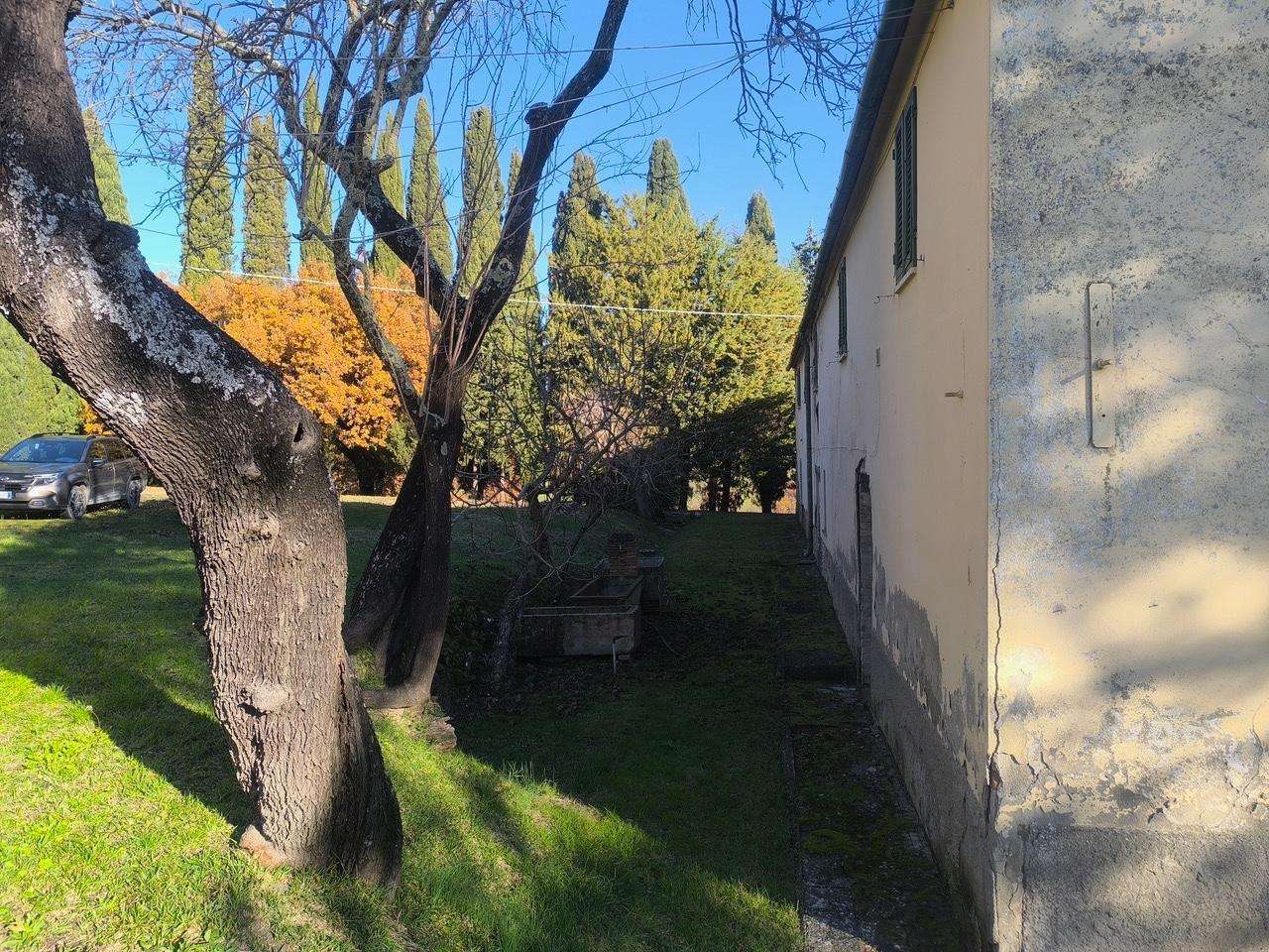  - foto 39