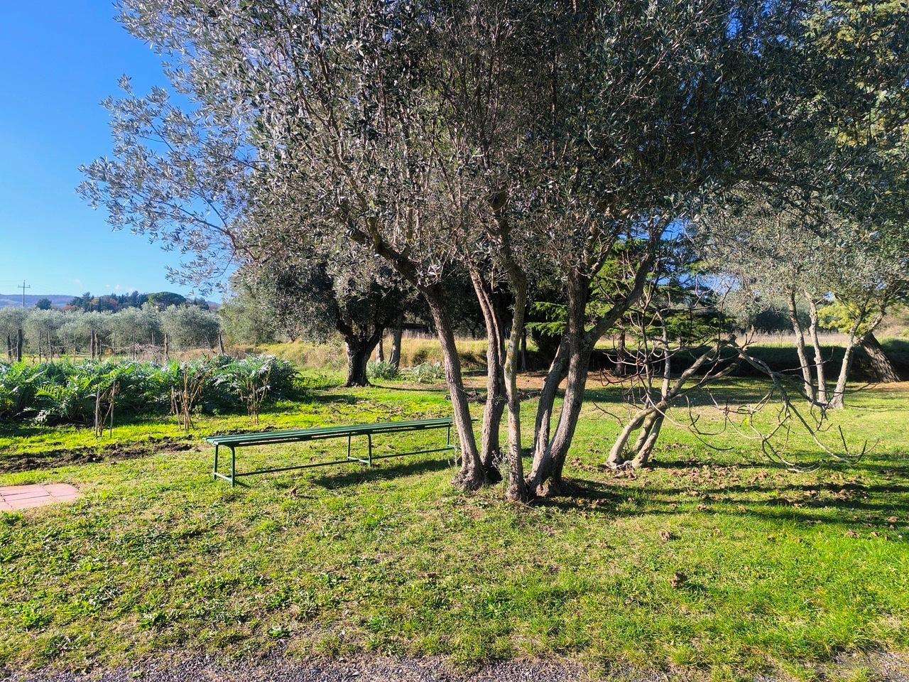  - foto 61
