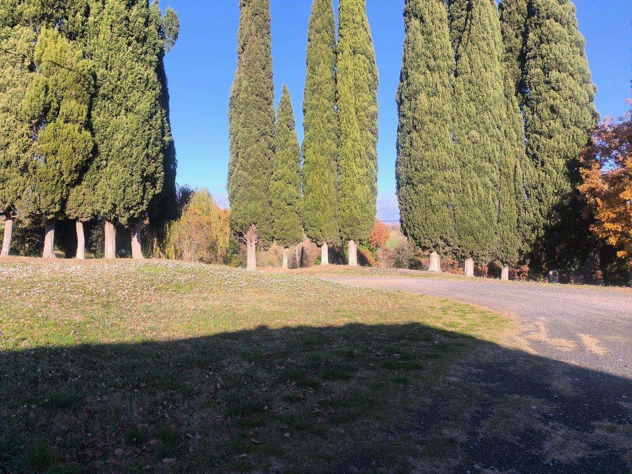  - foto 66