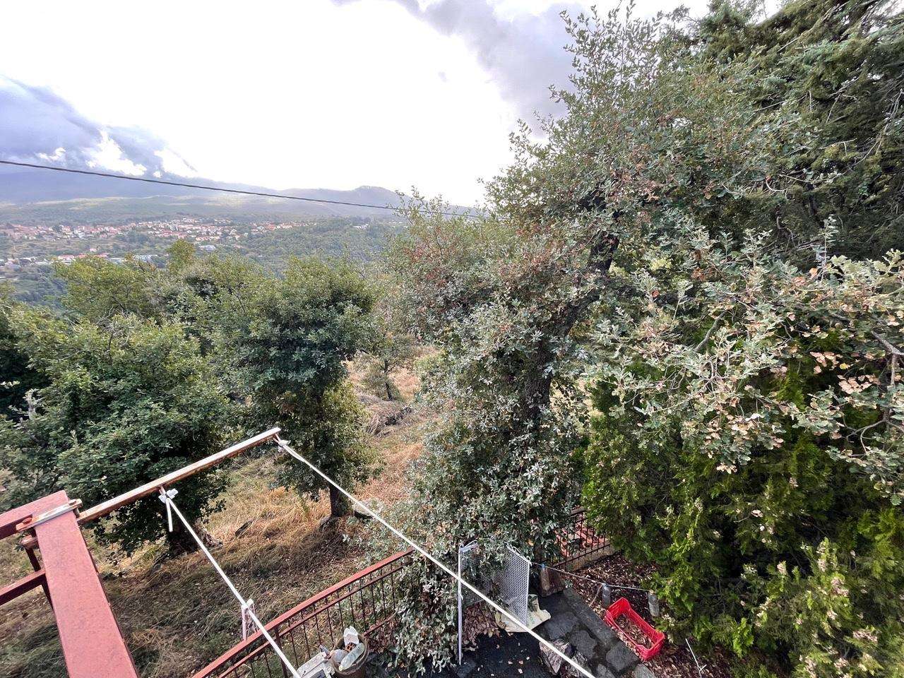  - foto 14