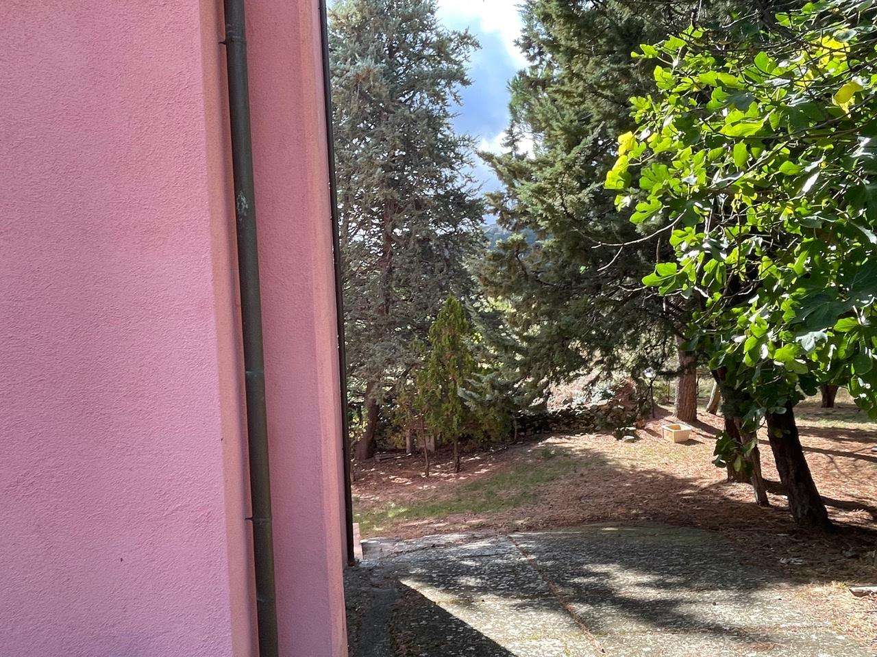  - foto 34