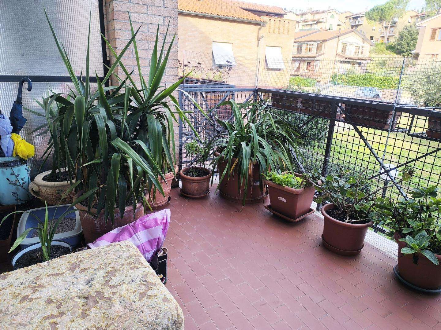  - foto 28