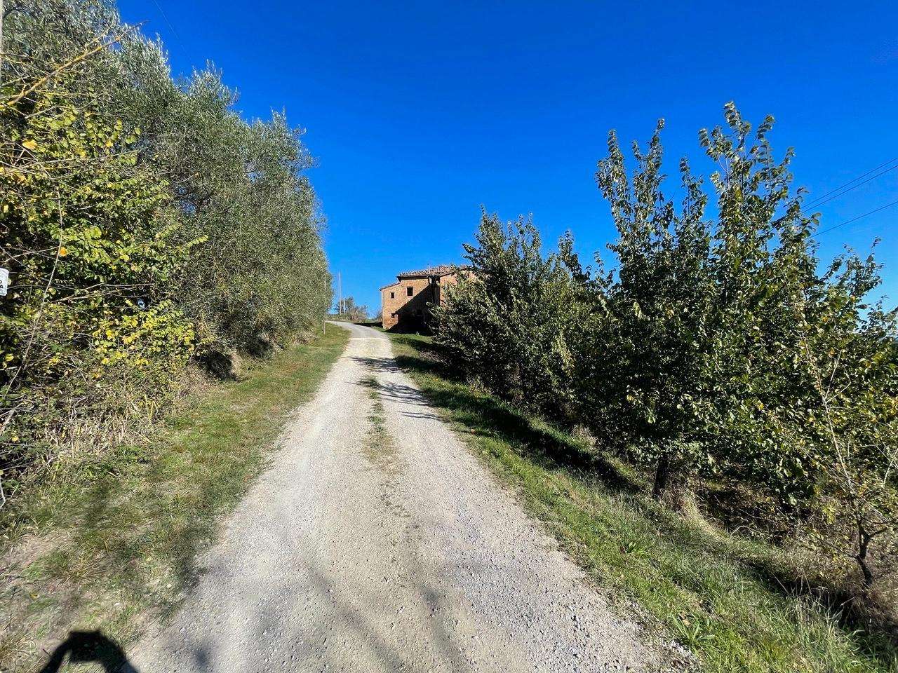  - foto 16