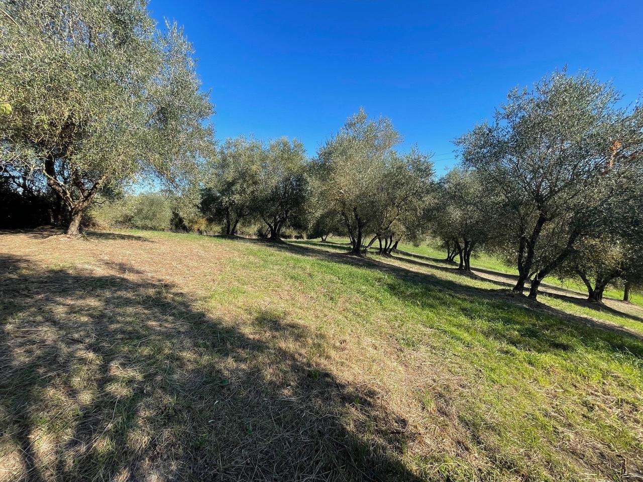  - foto 5