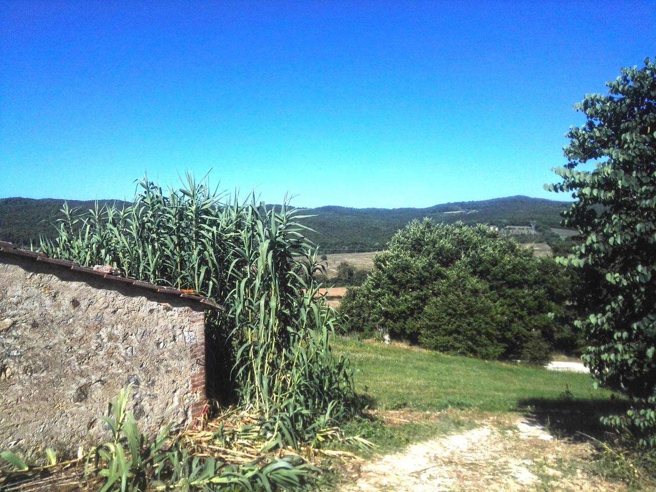  - foto 25