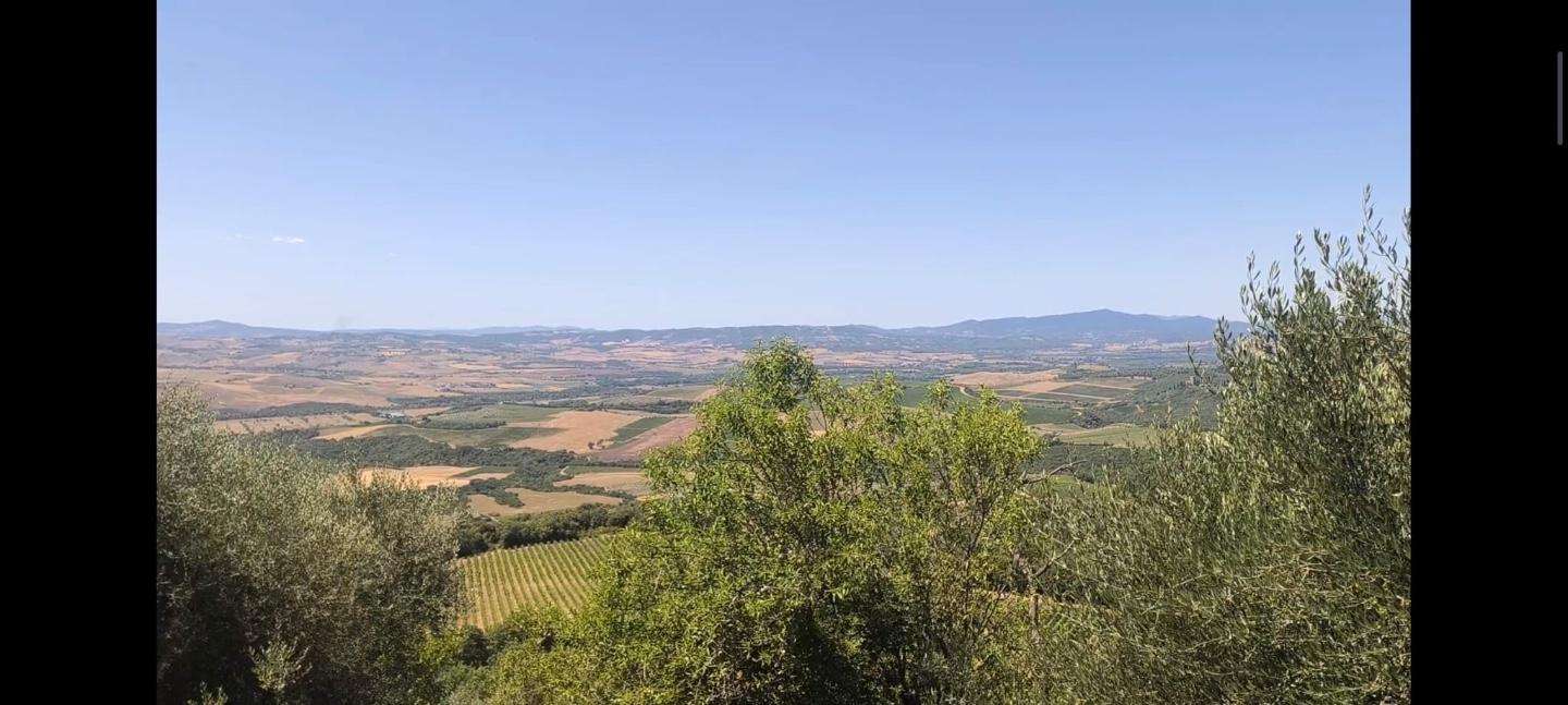  - foto 11
