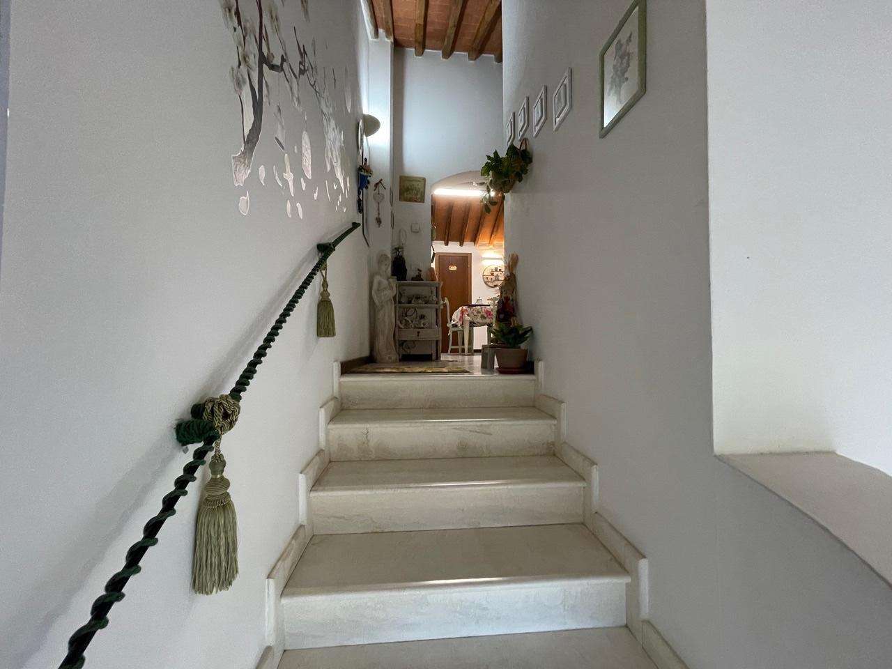  - foto 13