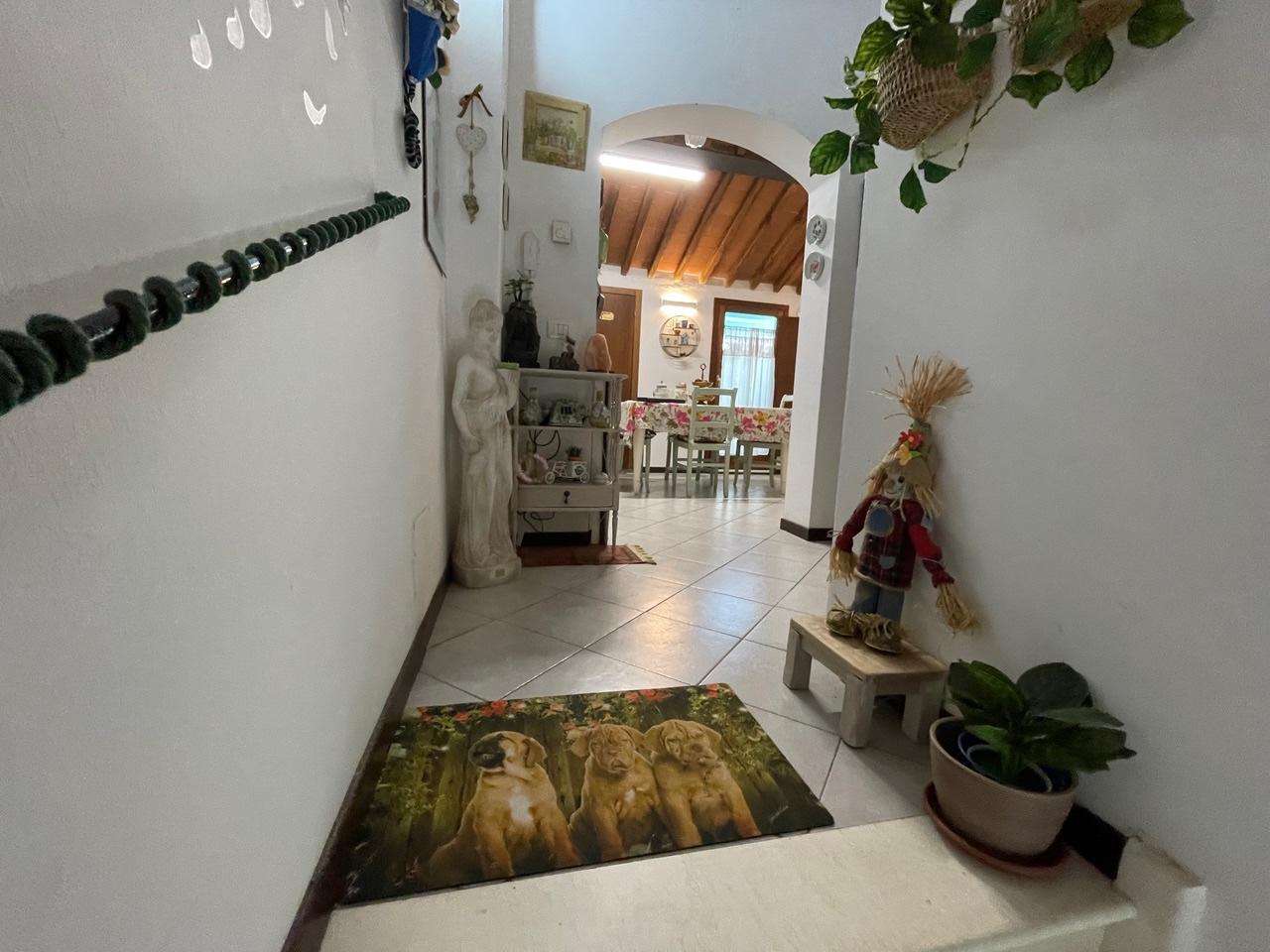  - foto 14