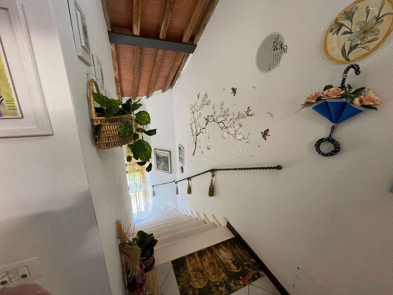  - foto 34