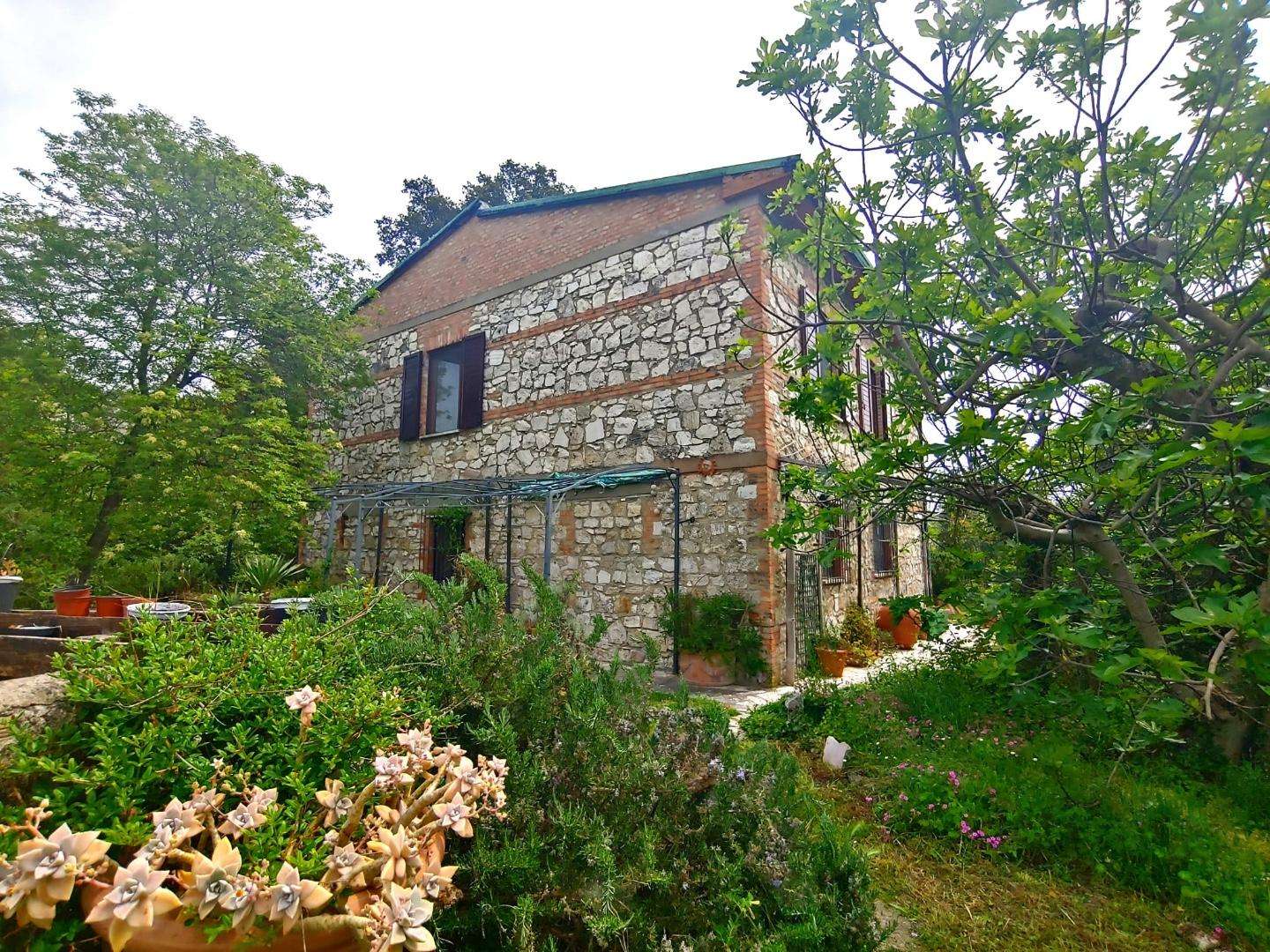 Casale Terme, Rapolano Terme