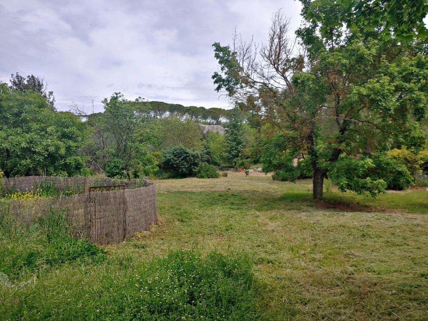  - foto 13