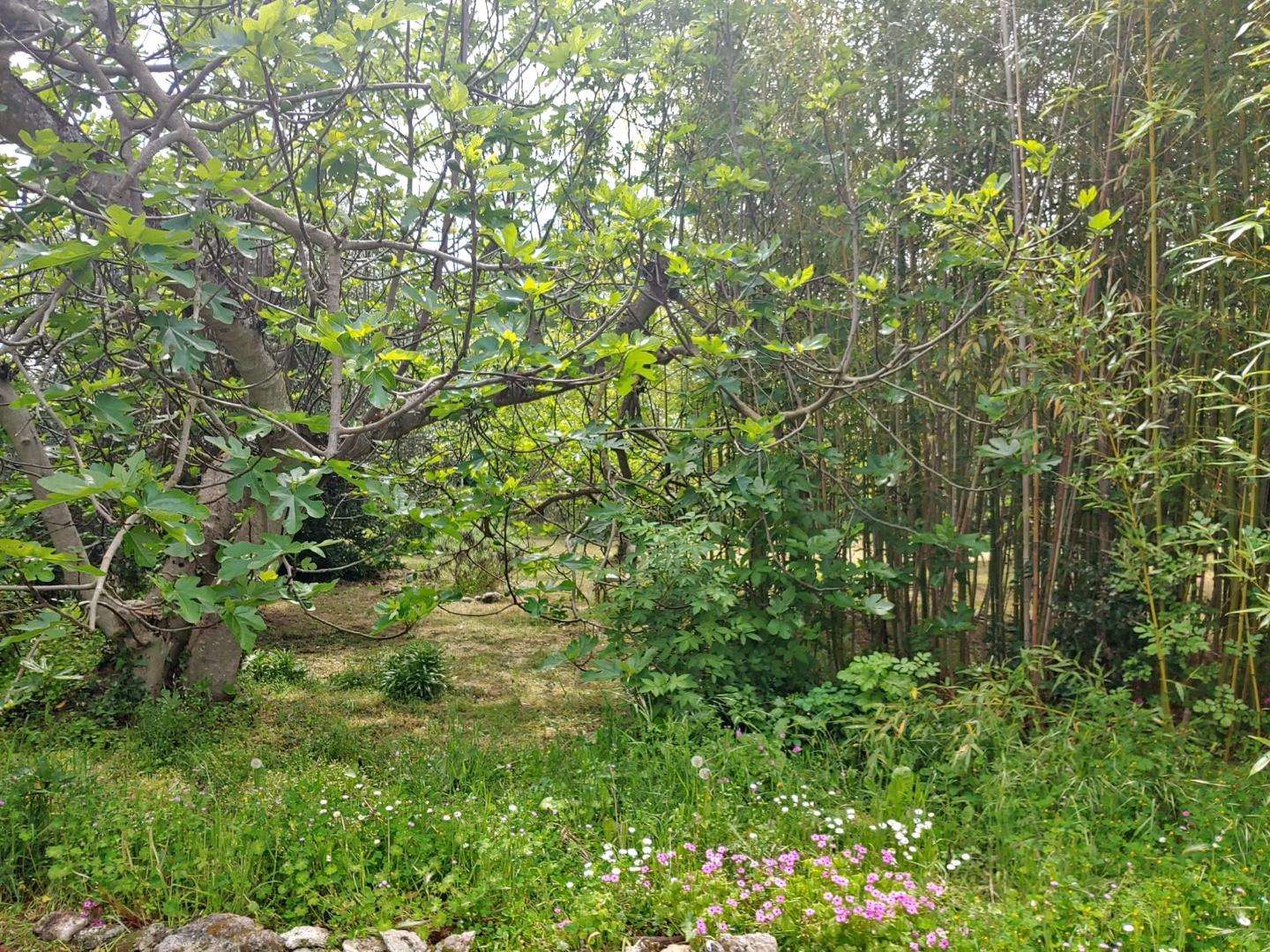  - foto 29