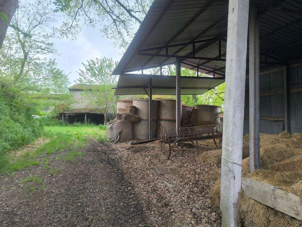  - foto 17