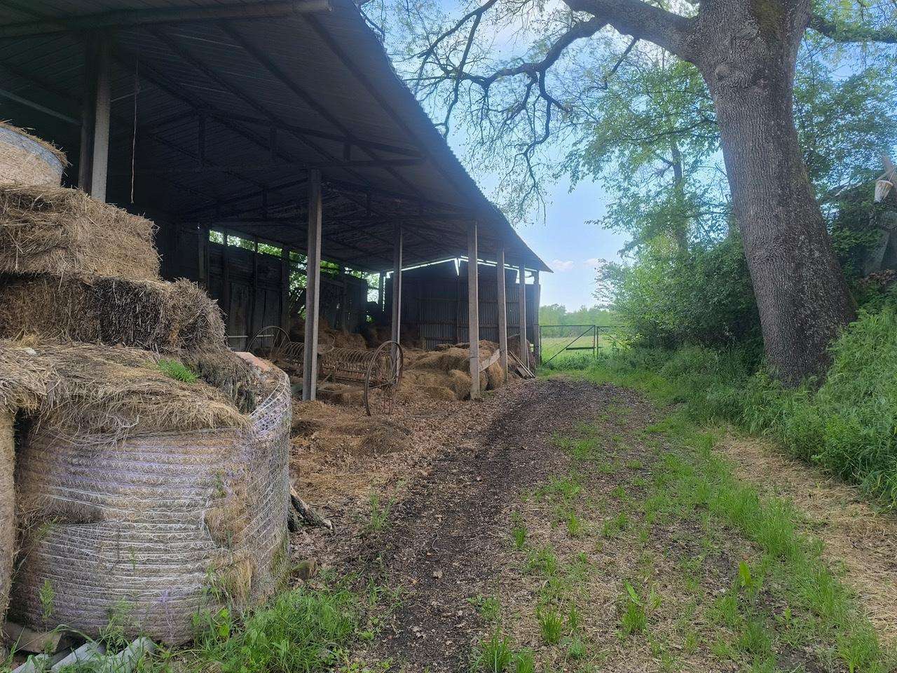  - foto 20