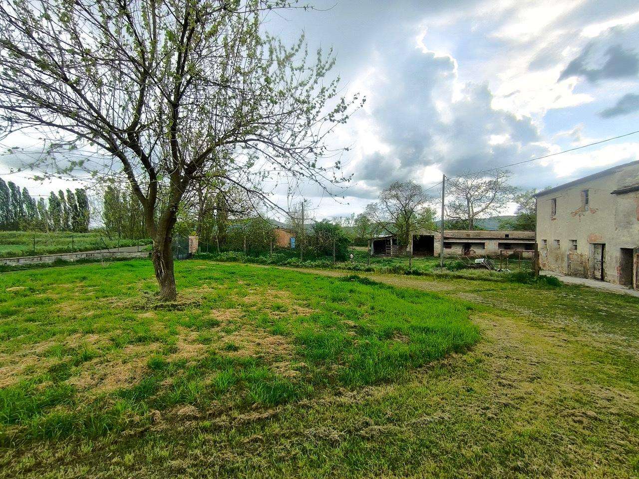  - foto 23
