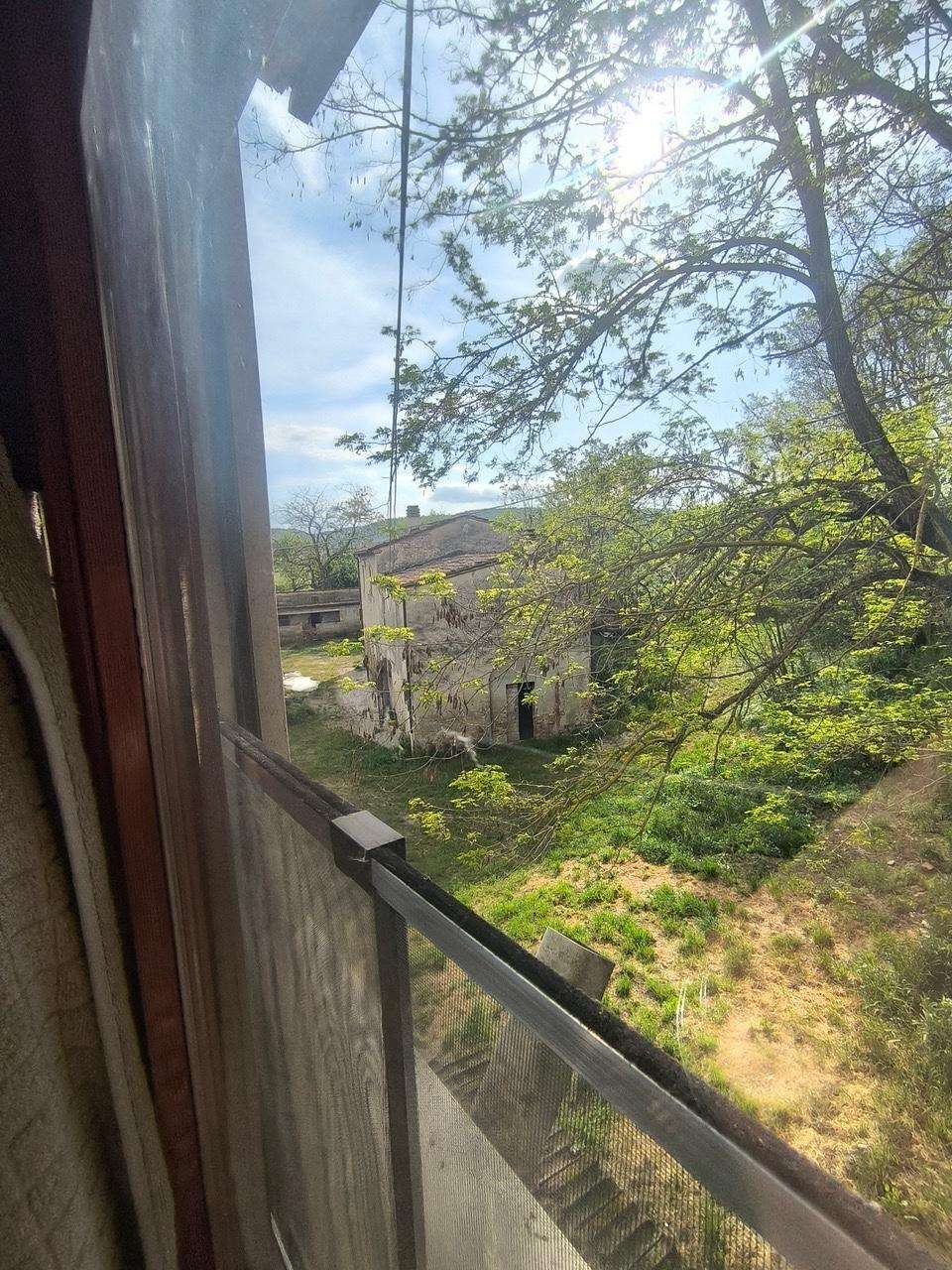  - foto 39