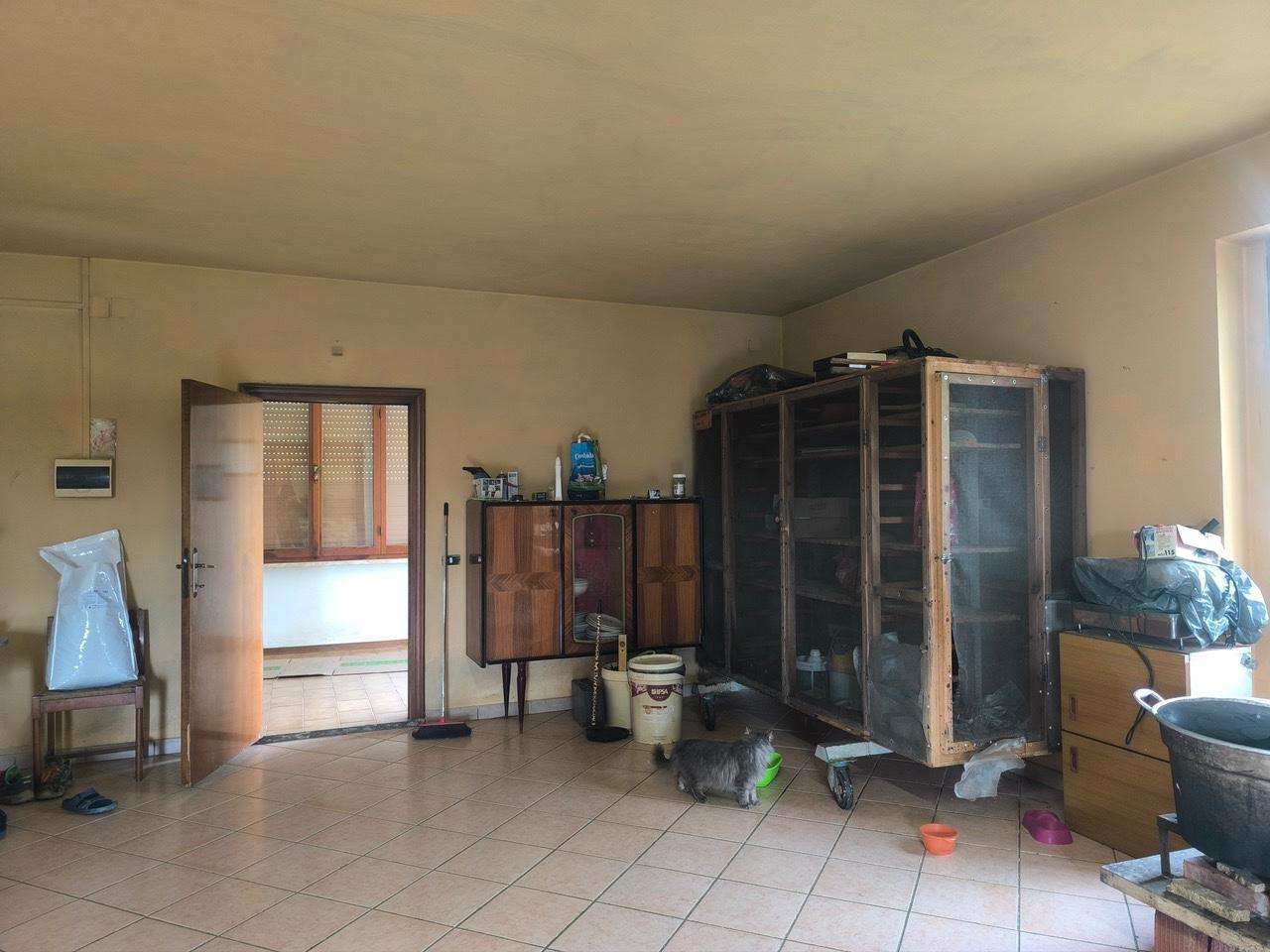  - foto 23