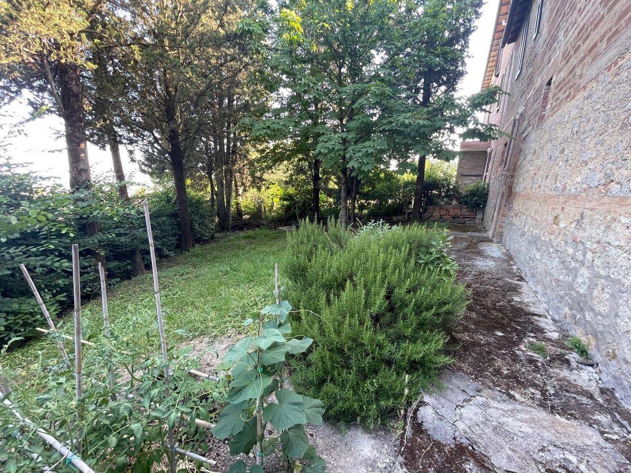  - foto 64
