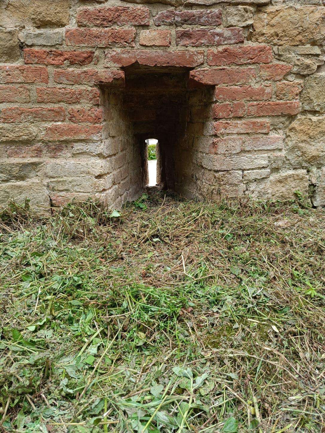  - foto 101