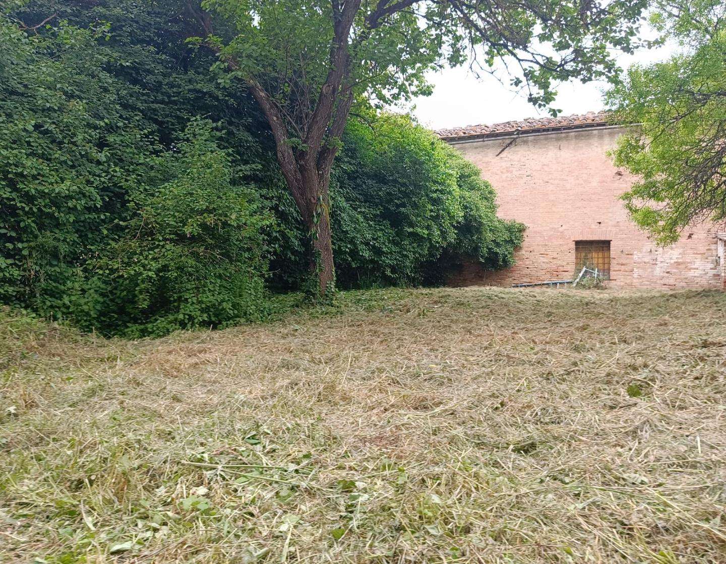  - foto 106