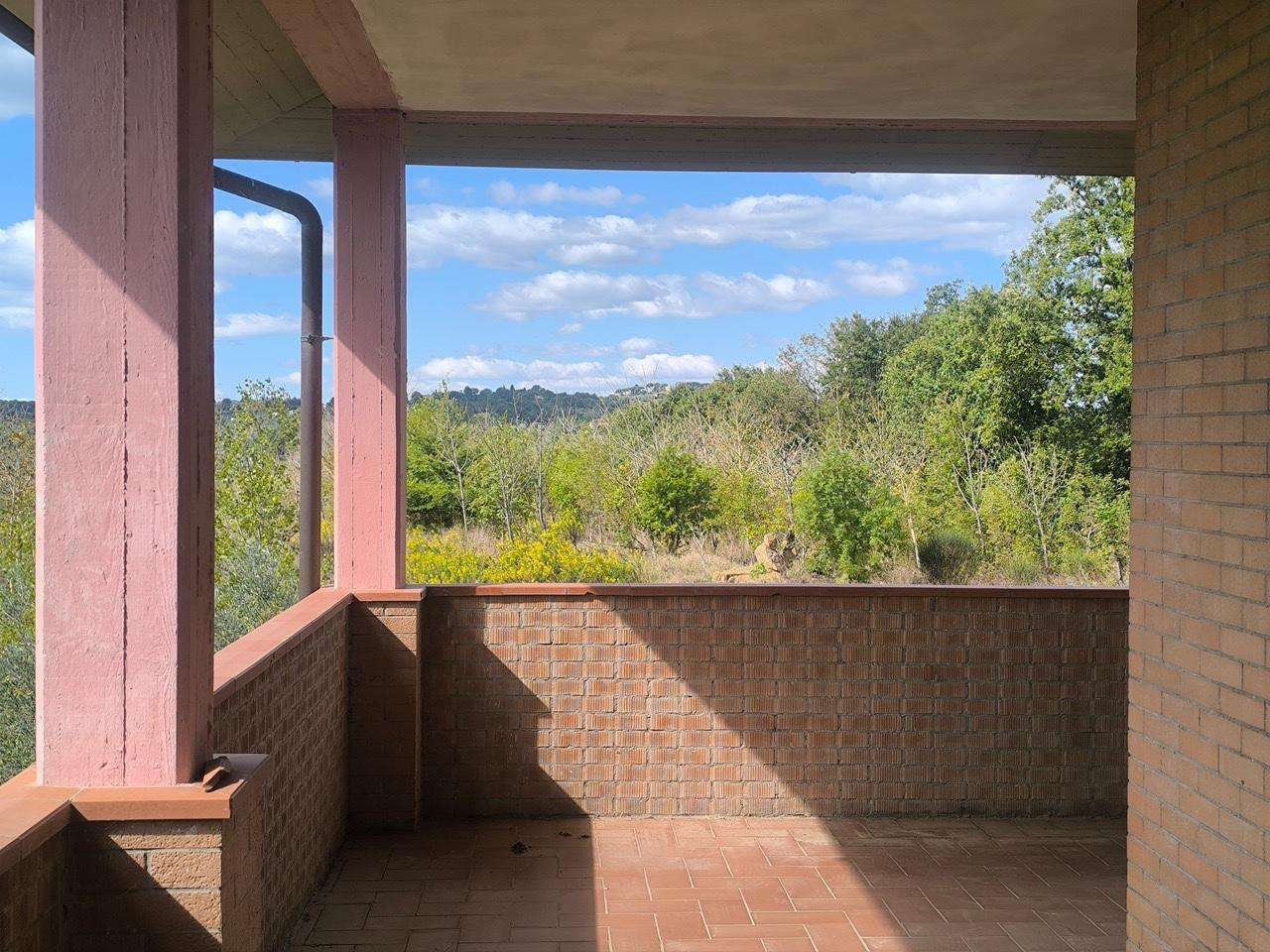  - foto 61