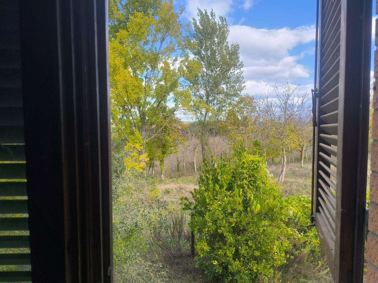  - foto 78