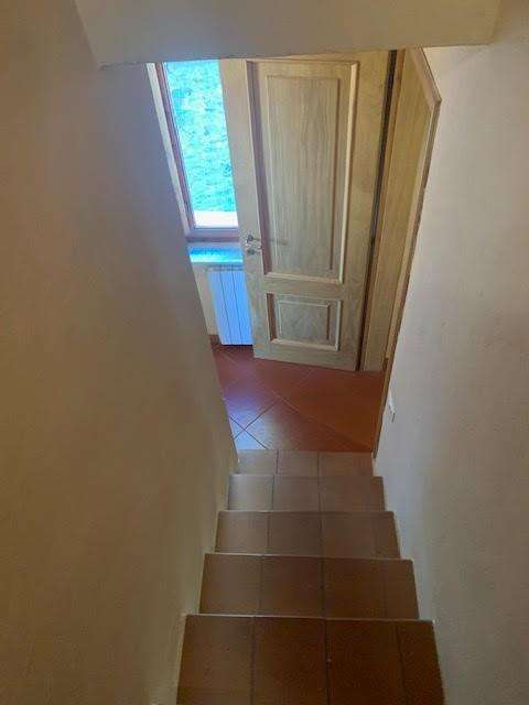  - foto 20