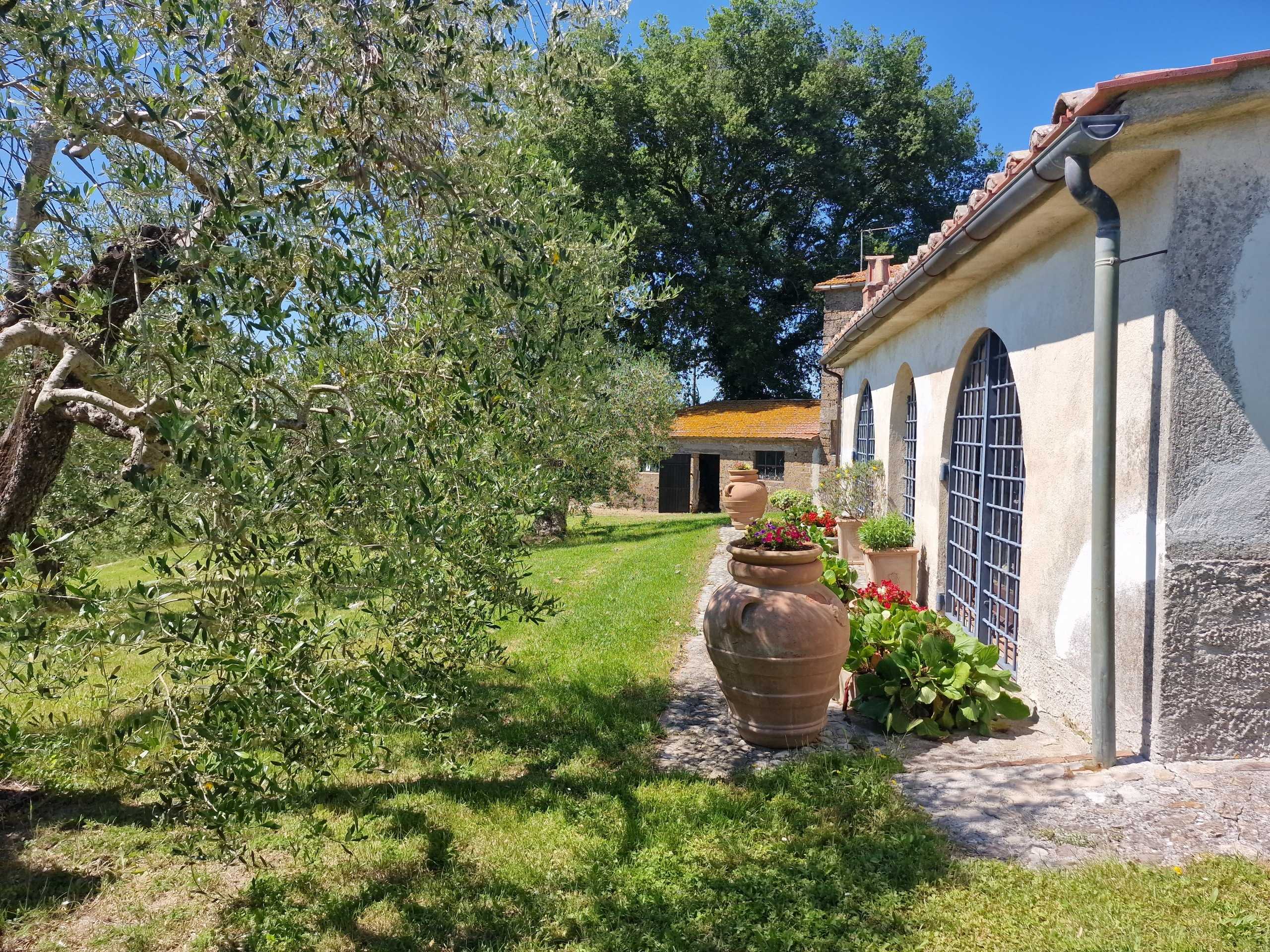  - foto 36